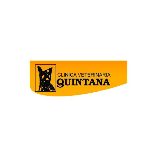 Visita virtual clínica veterinaria Quintana